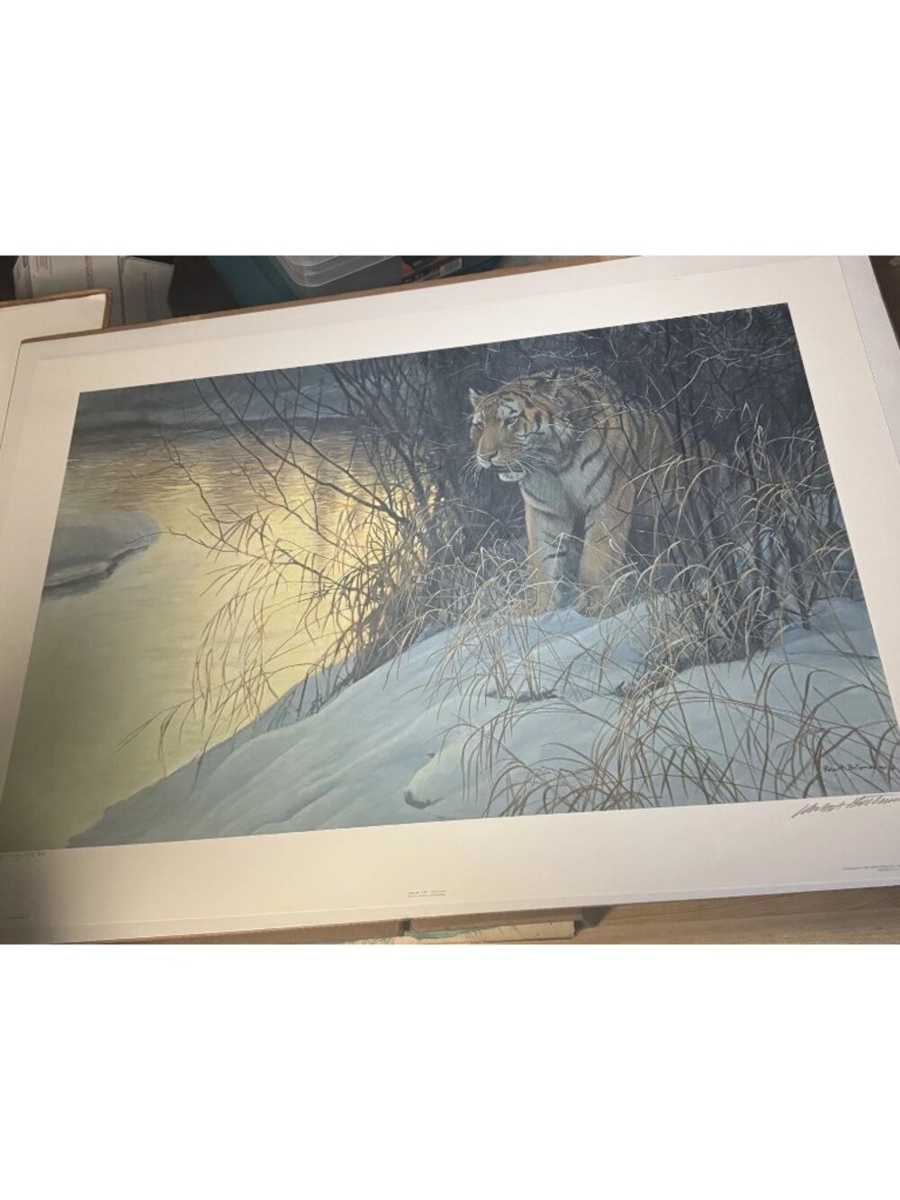 VTG ‘91 SIGNED Artist Robert Bateman "SIBERIAN TIGER"  NUMBER 2779/4500 38 x 27